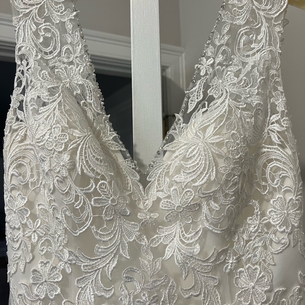 Allure Bridal - Picture 10 of 11